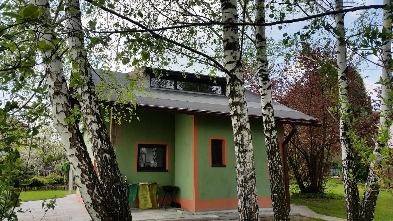 Domek Pod Brzozami شفينا المظهر الخارجي الصورة